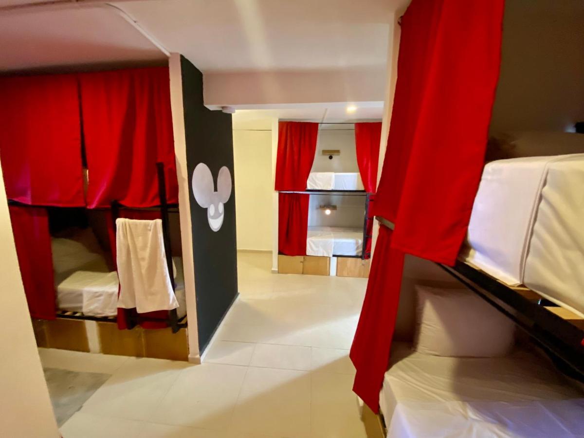 Why Not Rooftop Party Hostel プレヤデルカーメン エクステリア 写真