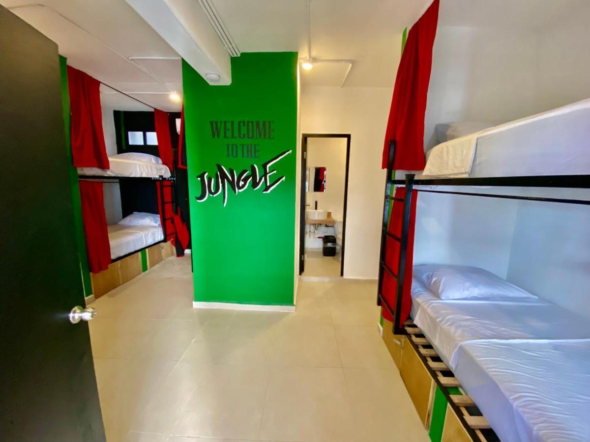 Why Not Rooftop Party Hostel プレヤデルカーメン エクステリア 写真