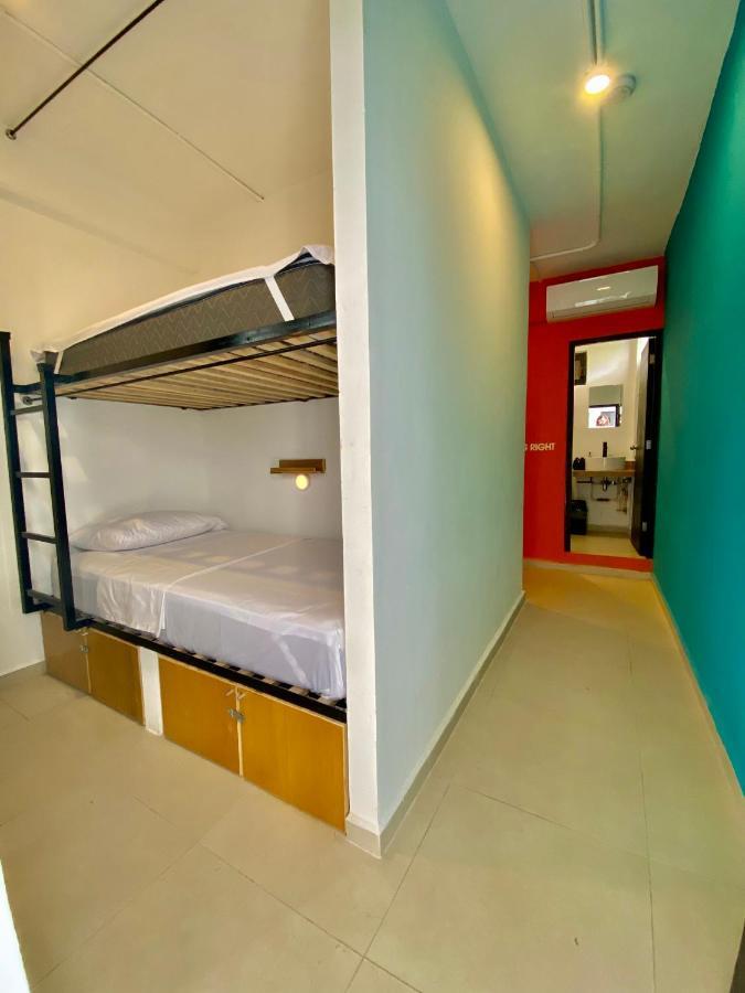 Why Not Rooftop Party Hostel プレヤデルカーメン エクステリア 写真