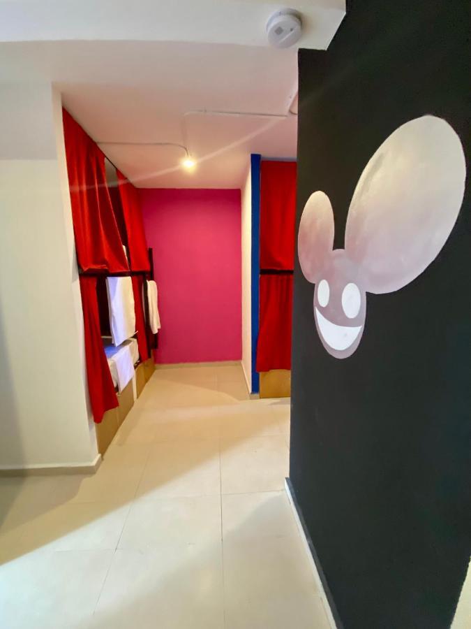 Why Not Rooftop Party Hostel プレヤデルカーメン エクステリア 写真