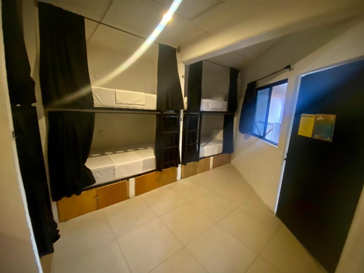 Why Not Rooftop Party Hostel プレヤデルカーメン エクステリア 写真